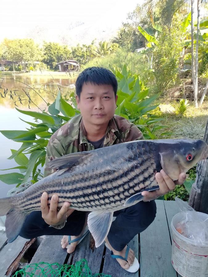 Menginap di pertanian Bueng Farm บึงปายฟาร์ม *