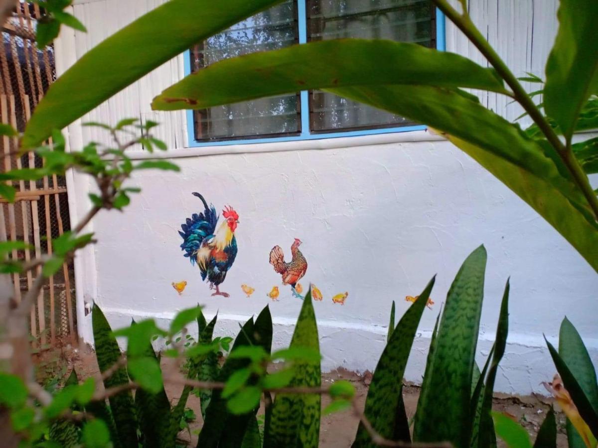 Farm stay Bueng Farm บึงปายฟาร์ม