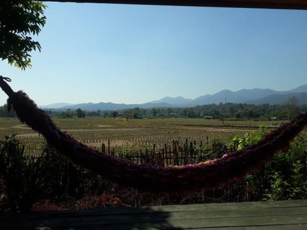 Bueng Farm บึงปายฟาร์ม