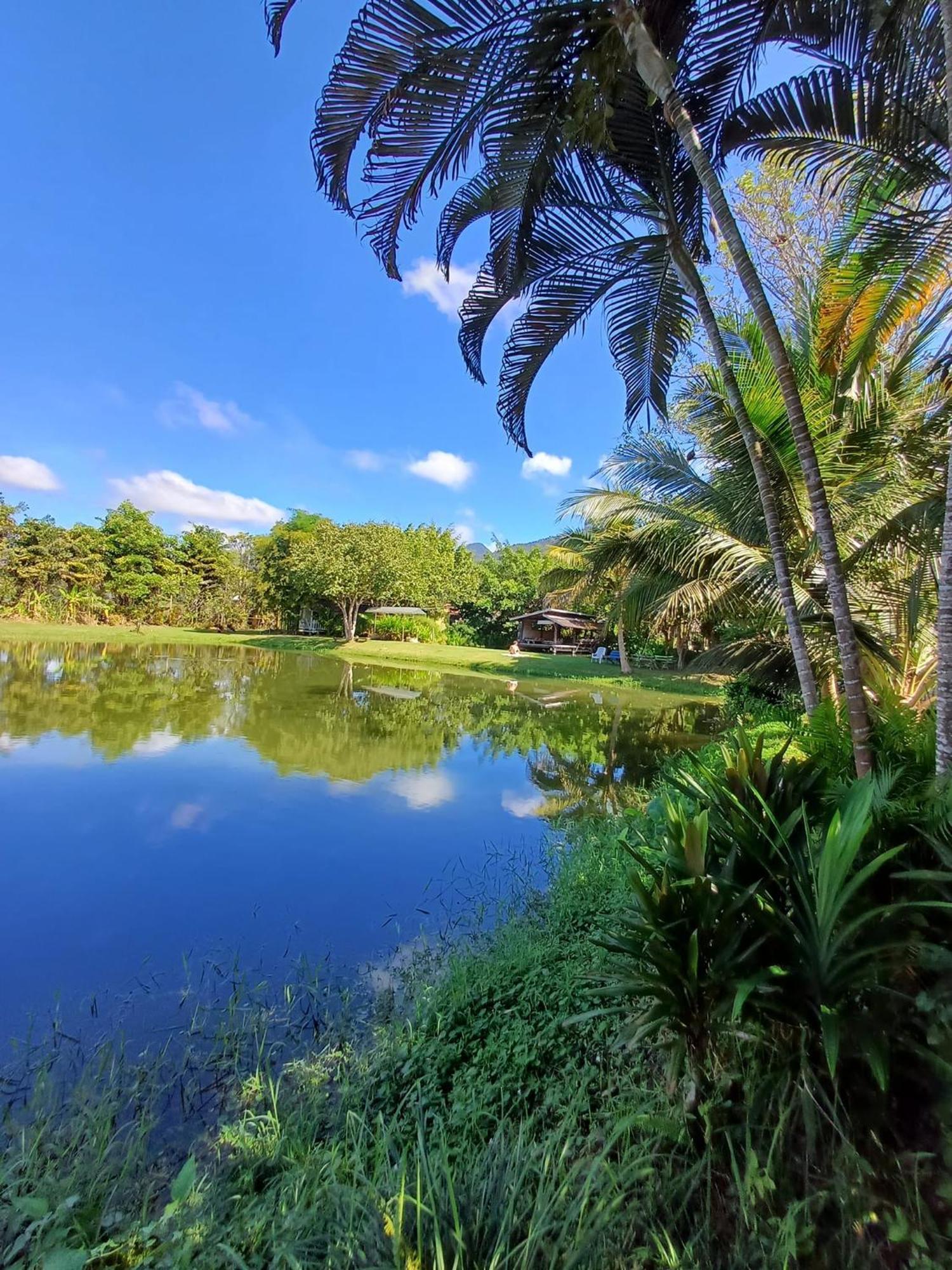 Bueng Farm บึงปายฟาร์ม Farm stay *