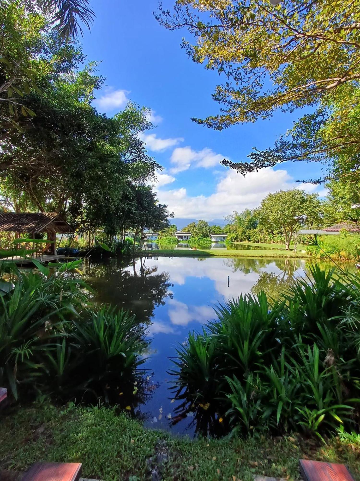 Bueng Farm บึงปายฟาร์ม Farm stay *