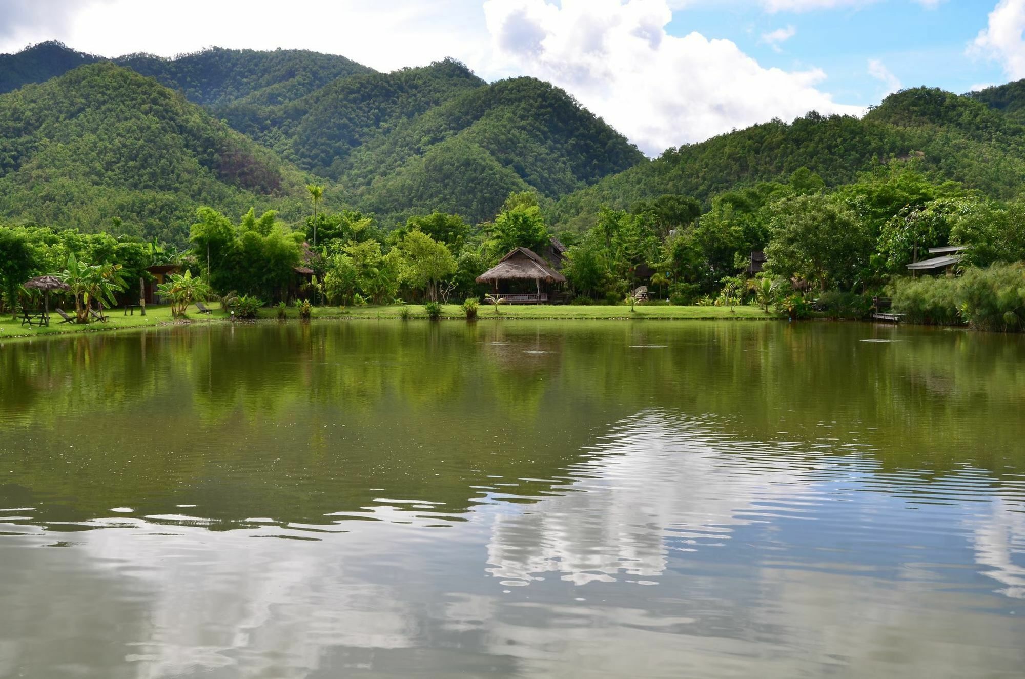 Bueng Farm บึงปายฟาร์ม Menginap di pertanian *