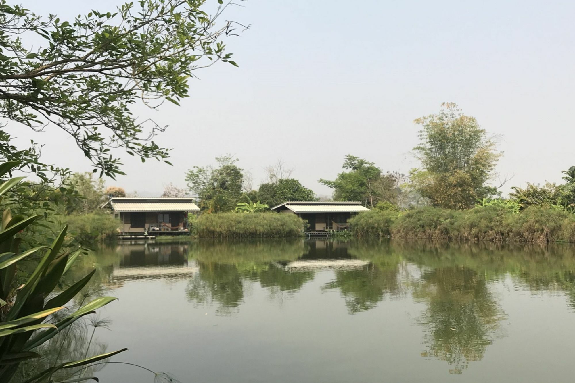 Bueng Farm บึงปายฟาร์ม Menginap di pertanian *