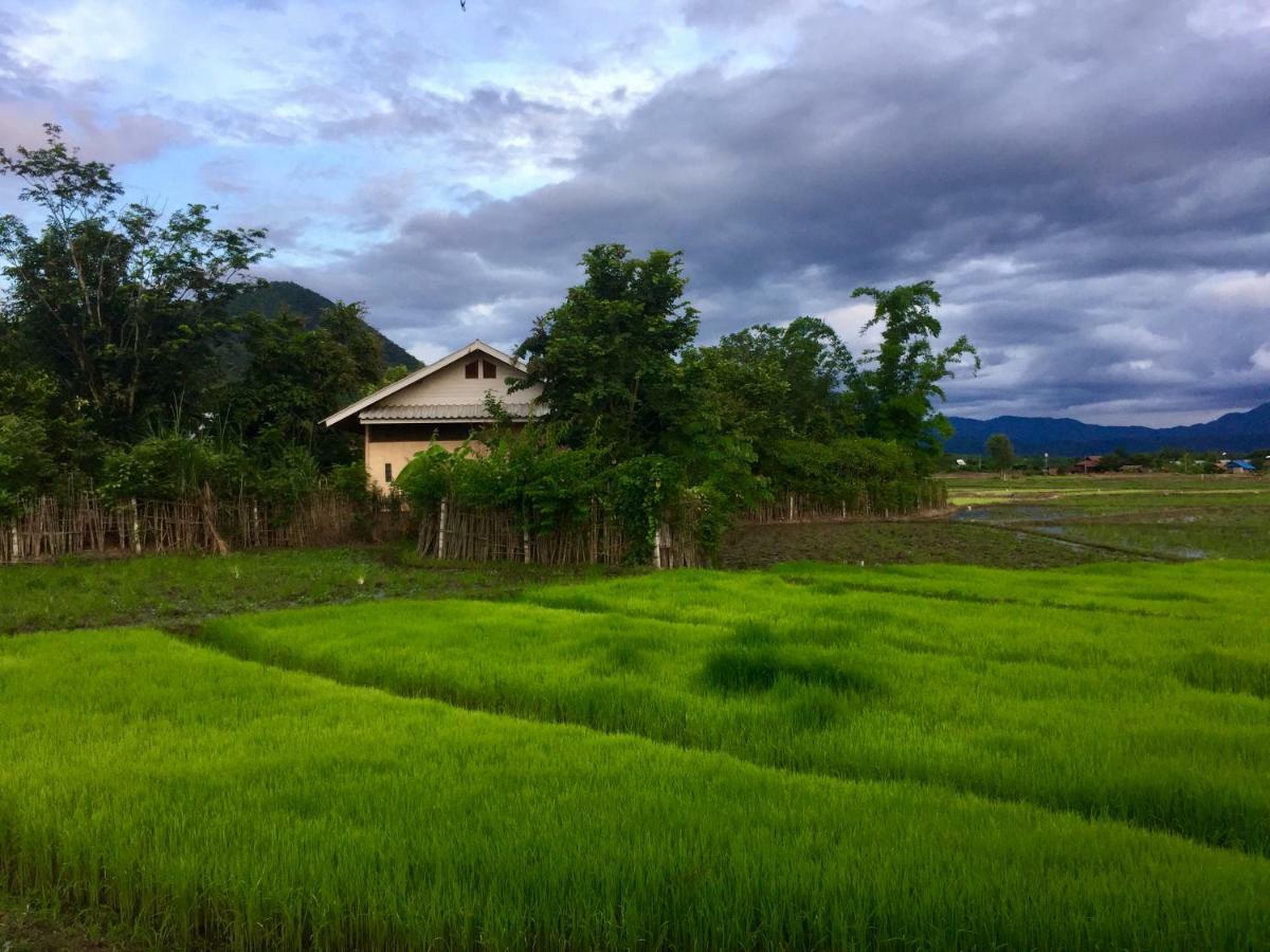 Bueng Farm บึงปายฟาร์ม Farm stay