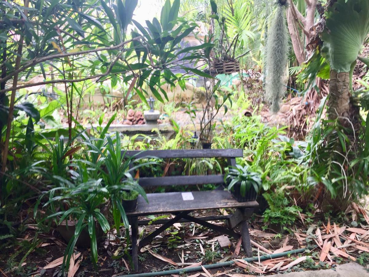 Bueng Farm บึงปายฟาร์ม Pai